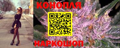 гашик Ливны