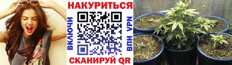 Каннабис тримм  гидра ссылки  Гай  магазин  наркотиков 
